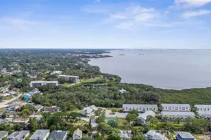112 S Florida Ave, Tarpon Springs, FL 34689 - Photo 73