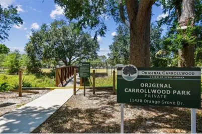 10916 Carrollwood Drive, Tampa, FL 33618 - Photo 35