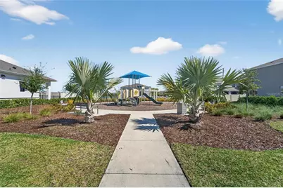 188 Mangrove Shade Circle, Apollo Beach, FL 33572 - Photo 59