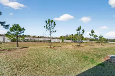 188 Mangrove Shade Circle, Apollo Beach, FL 33572 - Photo 51