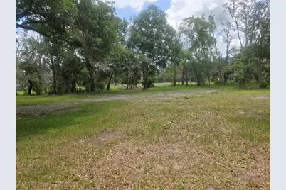 22838 Bungalow Lane, Land O Lakes, FL 34639 - Photo 5