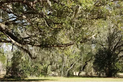22838 Bungalow Lane, Land O Lakes, FL 34639 - Photo 3