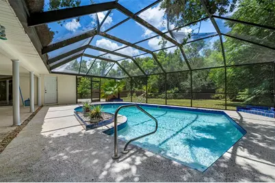 207 Dunbridge Drive, Palm Harbor, FL 34684 - Photo 29