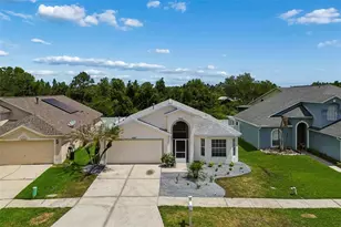 30449 Tremont Dr, Wesley Chapel, FL 33543 - Photo 83