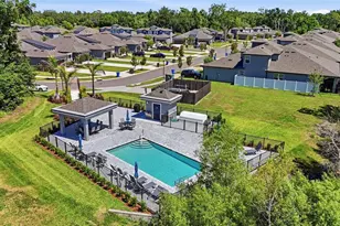 219 Villa Luna Ln, Lutz, FL 33549 - Photo 27