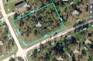 16200 Crane Rd, Weeki Wachee, FL 34614 - Photo 1