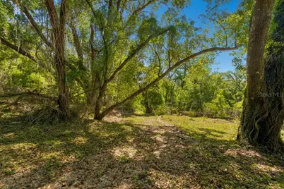 31501 Reed Road, Dade City, FL 33523 - Photo 17