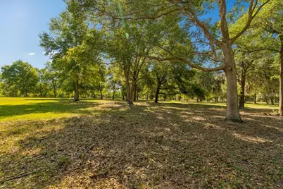 31501 Reed Road, Dade City, FL 33523 - Photo 5