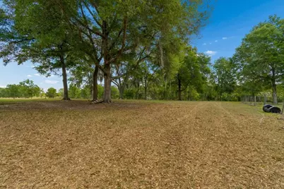 31501 Reed Road, Dade City, FL 33523 - Photo 13