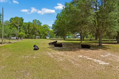 31501 Reed Road, Dade City, FL 33523 - Photo 35