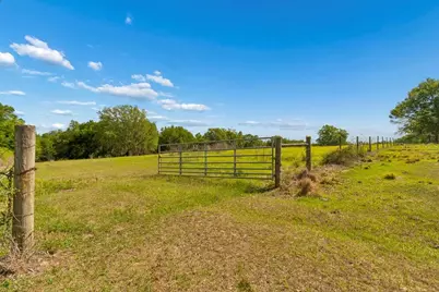 31501 Reed Road, Dade City, FL 33523 - Photo 31