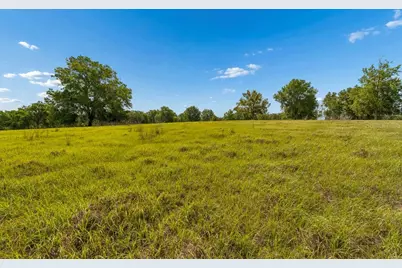 31501 Reed Road, Dade City, FL 33523 - Photo 33