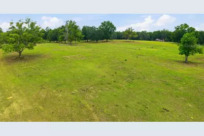 31501 Reed Road, Dade City, FL 33523 - Photo 41