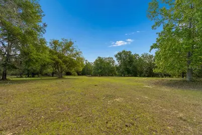 31501 Reed Road, Dade City, FL 33523 - Photo 27