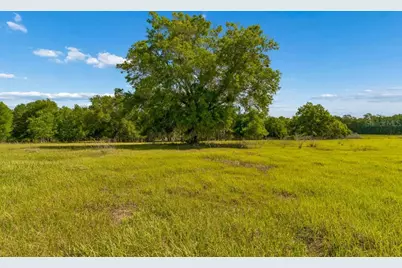 31501 Reed Road, Dade City, FL 33523 - Photo 21