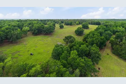 31501 Reed Road, Dade City, FL 33523 - Photo 43