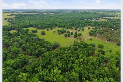 31501 Reed Road, Dade City, FL 33523 - Photo 37