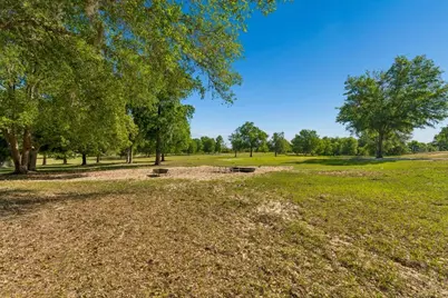31501 Reed Road, Dade City, FL 33523 - Photo 9
