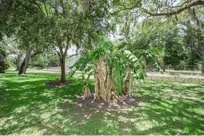 1720 Cypress Trace Drive, Safety Harbor, FL 34695 - Photo 53