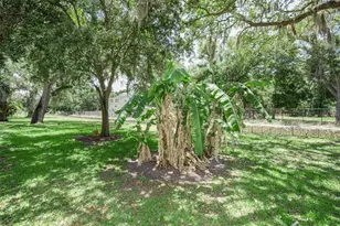 1720 Cypress Trace Dr, Safety Harbor, FL 34695 - Photo 53