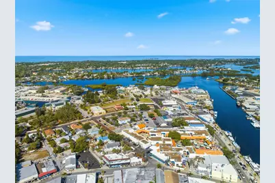 531 Athens Street, Tarpon Springs, FL 34689 - Photo 49