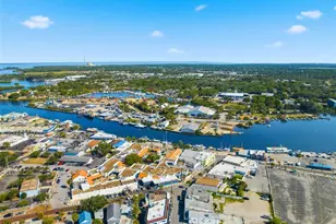 531 Athens St, Tarpon Springs, FL 34689 - Photo 55