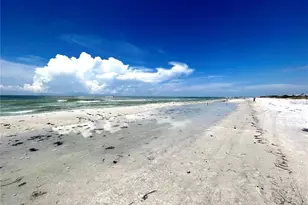 880 Mandalay Ave, Clearwater Beach, FL 33767 - Photo 89