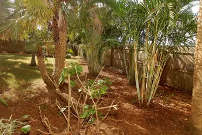 468 Limewood Avenue, Dunedin, FL 34698 - Photo 49