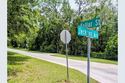 315 Garfield Avenue, Brooksville, FL 34604 - Photo 63