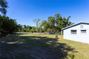 2877 Nutwood St, Clearwater, FL 33759 - Photo 35