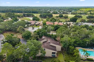 10 Shamrock Way, Oldsmar, FL 34677 - Photo 41