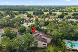 10 Shamrock Way, Oldsmar, FL 34677 - Photo 39