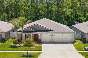 13511 Willow Bluestar Loop, Riverview, FL 33579 - Photo 1