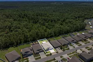 13511 Willow Bluestar Loop, Riverview, FL 33579 - Photo 37