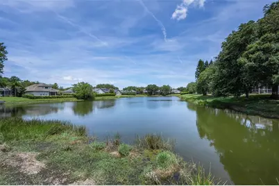 2993 Northfield Drive, Tarpon Springs, FL 34688 - Photo 51