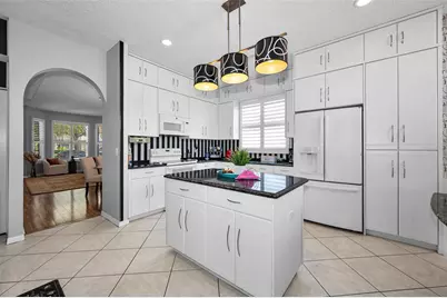 19313 Aqua Springs Drive, Lutz, FL 33558 - Photo 7