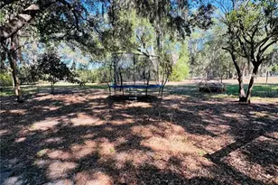 4420 Bailey Rd, Mulberry, FL 33860 - Photo 21