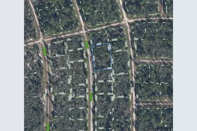 719 Pacific Street, Lake Placid, FL 33852 - Photo 3