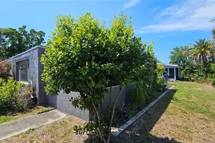 3442 Overland Dr, Holiday, FL 34691 - Photo 67