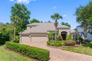 21107 Bircholm Ct, Land O Lakes, FL 34637 - Photo 1