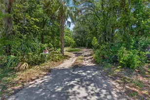 353 N Rock Crusher Rd, Crystal River, FL 34429 - Photo 27
