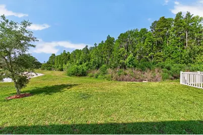 19222 Old Spanish Road, Tampa, FL 33647 - Photo 31