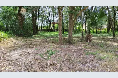 25050 Algonquin Avenue, Mount Plymouth, FL 32776 - Photo 1