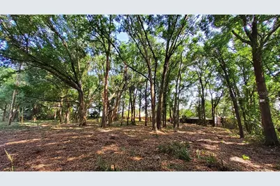 25050 Algonquin Avenue, Mount Plymouth, FL 32776 - Photo 5