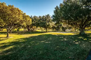 520 Sandy Hook Rd, Palm Harbor, FL 34683 - Photo 75