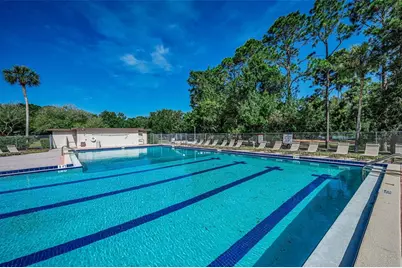 520 Sandy Hook Road, Palm Harbor, FL 34683 - Photo 65