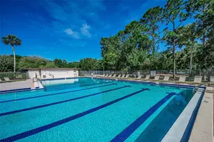 520 Sandy Hook Rd, Palm Harbor, FL 34683 - Photo 65
