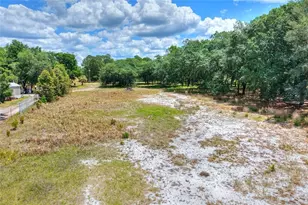 1885 Pfundstein Rd, Lake Wales, FL 33898 - Photo 37