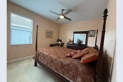 3356 Zack Drive, Dunedin, FL 34698 - Photo 51