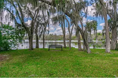 414 Joyce Avenue, Temple Terrace, FL 33617 - Photo 85